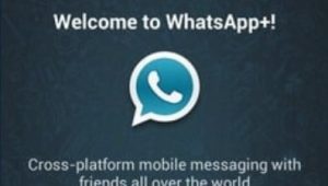 Cara menyimpan Story whatsapp. Story WhatsApp merupakan fitur sosial media yang ditawarkan oleh aplikasi WhatsApp. Langkah yang dilakukan oleh aplikasi WhatsApp