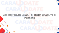 Aplikasi Populer Selain TikTok dan BIGO Live di Indonesia
