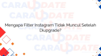 Mengapa Filter Instagram Tidak Muncul Setelah Diupgrade?